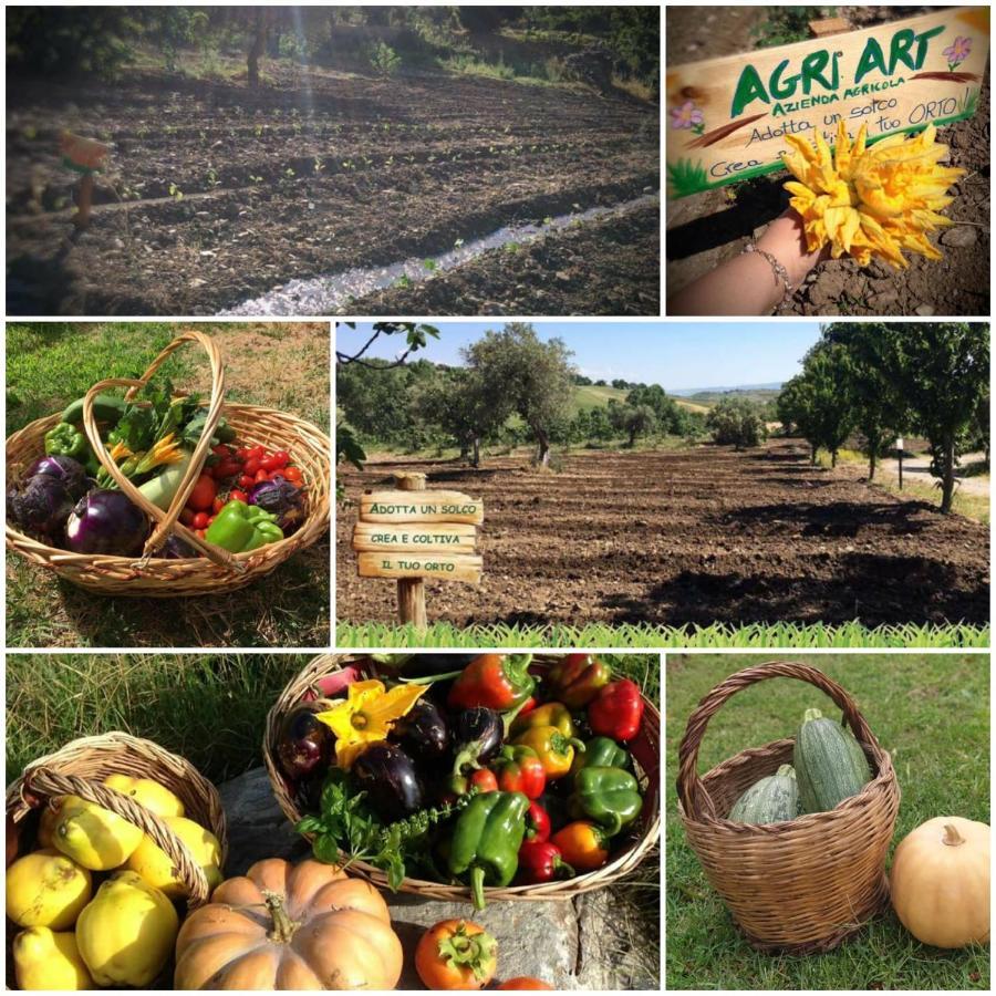 Вилла Agri Art San Benedetto Ullano Экстерьер фото