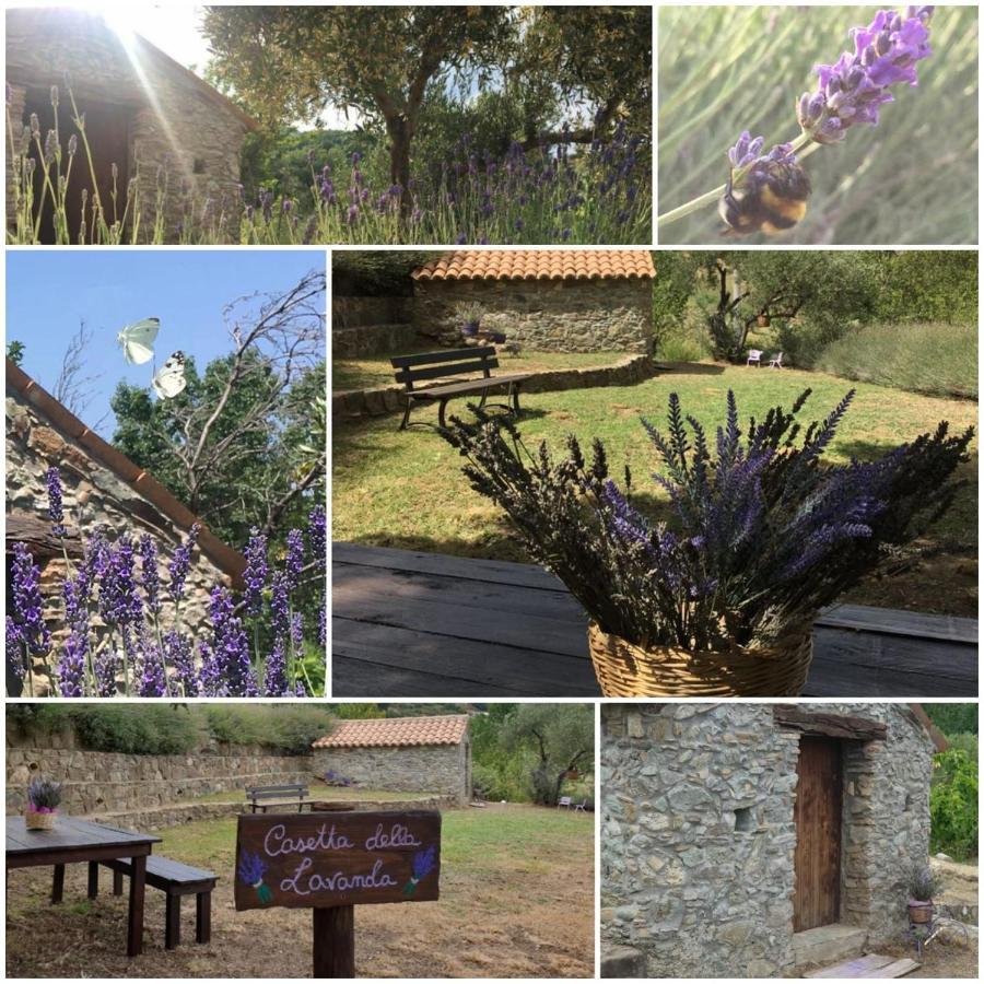 Вилла Agri Art San Benedetto Ullano Экстерьер фото