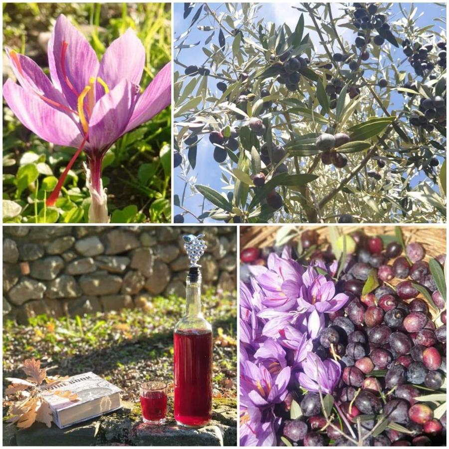 Вилла Agri Art San Benedetto Ullano Экстерьер фото